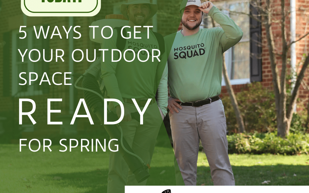 5 Ways to Get Your Outdoor Space ready for Spring with Mosquito Squad
